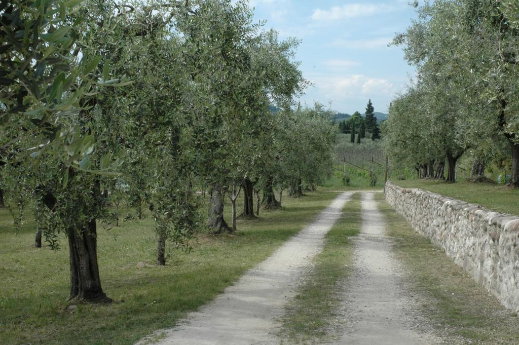 Agriturismo Tenuta La Pergola Бардолино Экстерьер фото