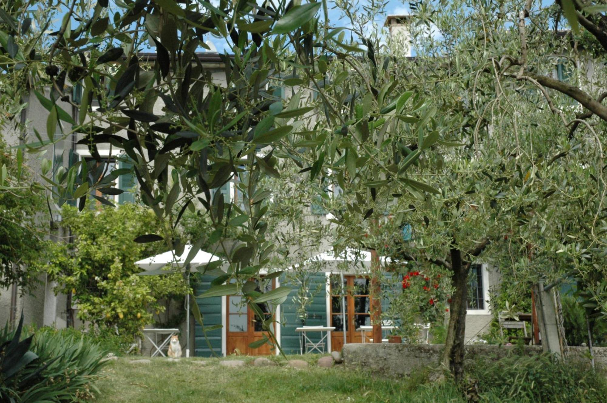 Agriturismo Tenuta La Pergola Бардолино Экстерьер фото