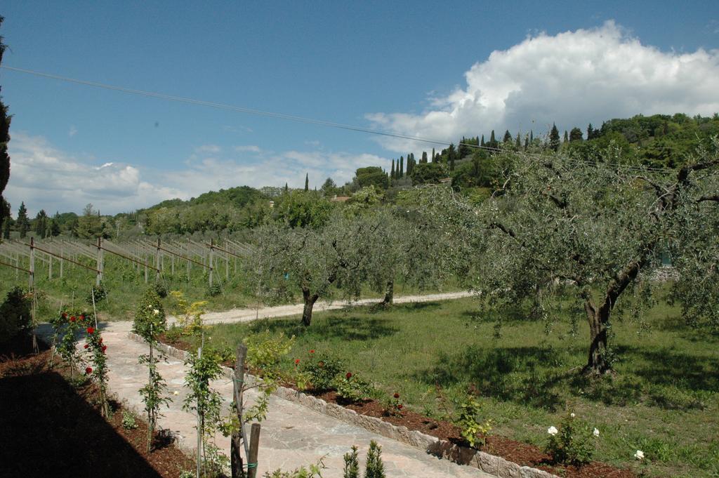 Agriturismo Tenuta La Pergola Бардолино Экстерьер фото