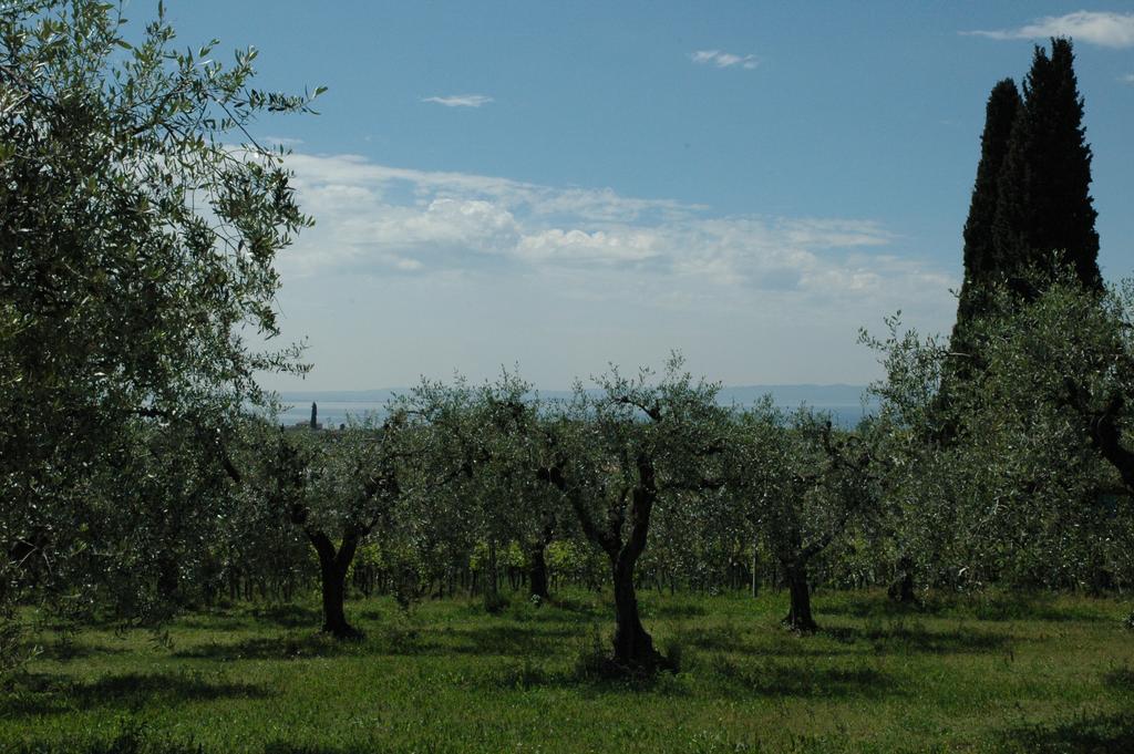 Agriturismo Tenuta La Pergola Бардолино Экстерьер фото