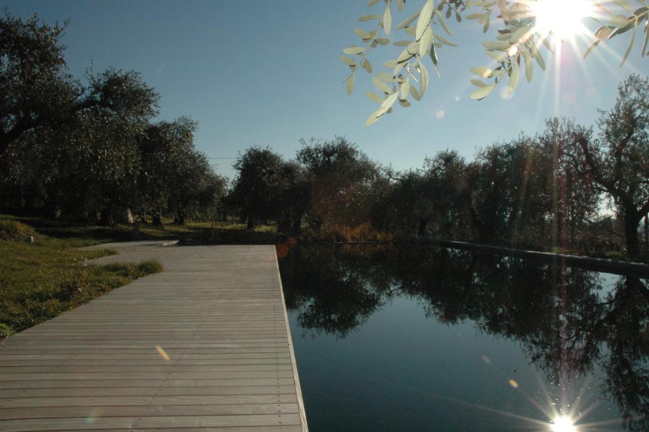 Agriturismo Tenuta La Pergola Бардолино Экстерьер фото