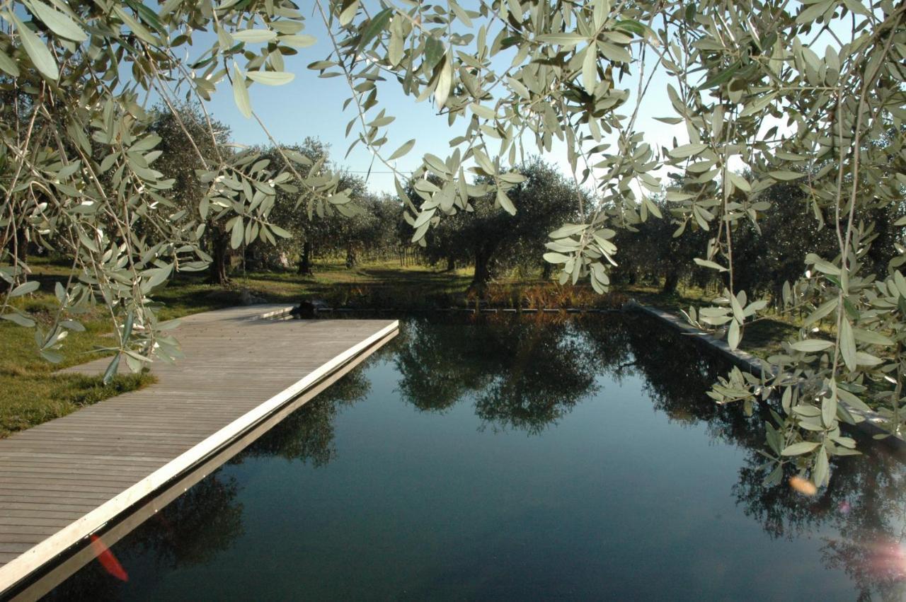 Agriturismo Tenuta La Pergola Бардолино Экстерьер фото